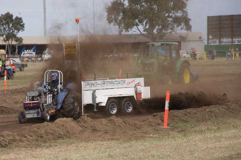 geelong show 08_135.jpg
